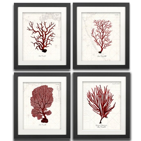 Red Coral Wall Art Vintage Coral Prints Red Nautical Art
