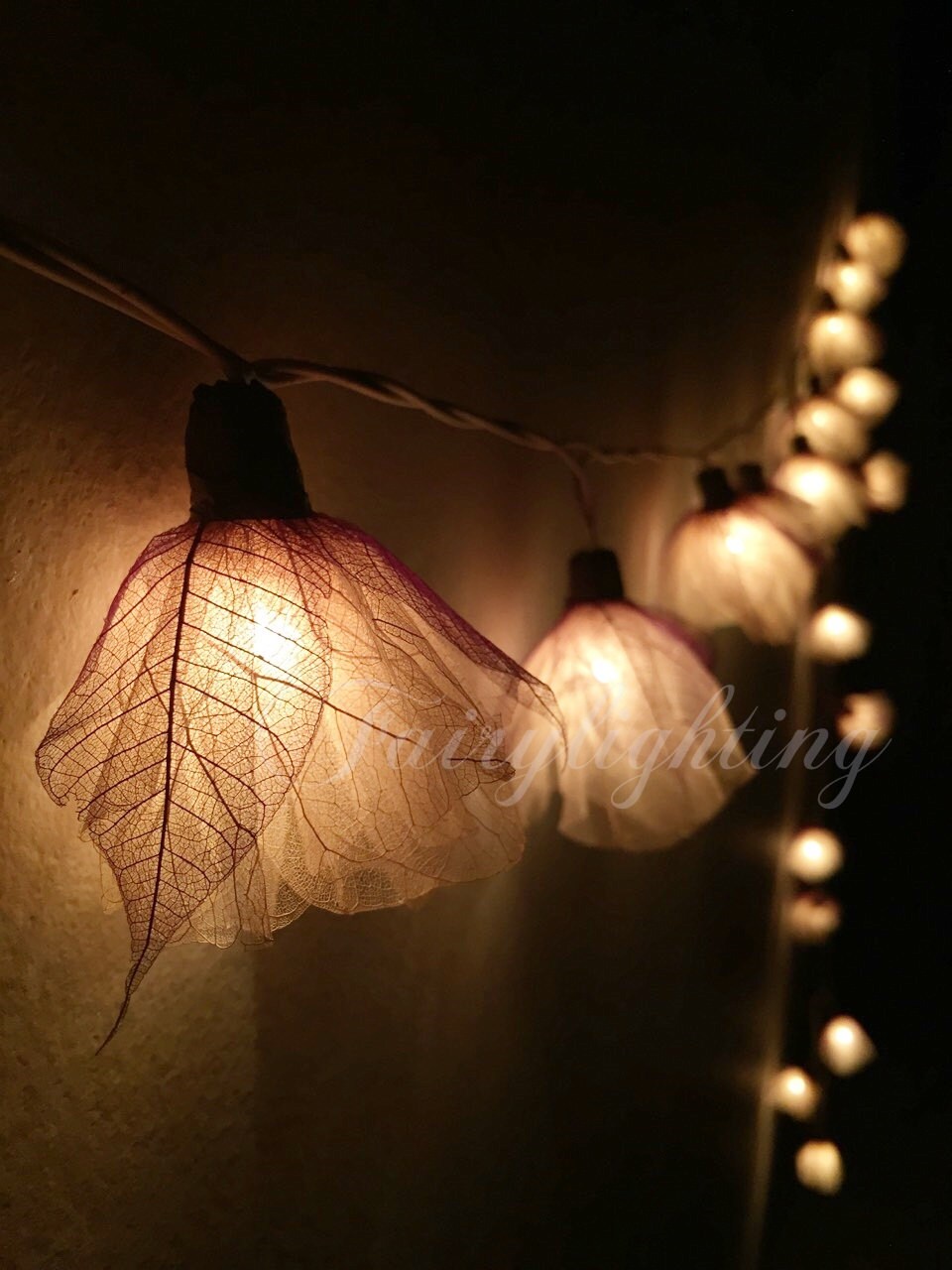 Fairy string lights 20 White Carnation Flower by fairylighting