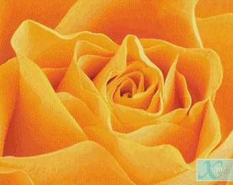 Yellow Rose PDF Cross Stitch Pattern