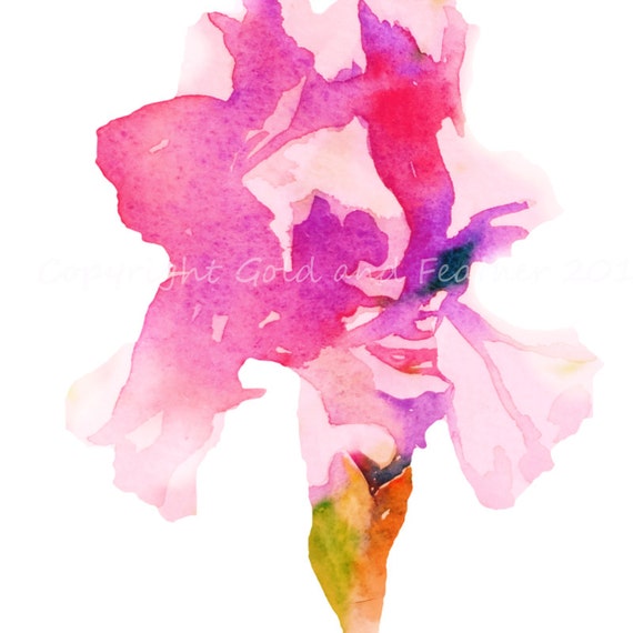 clipart iris flower - photo #33