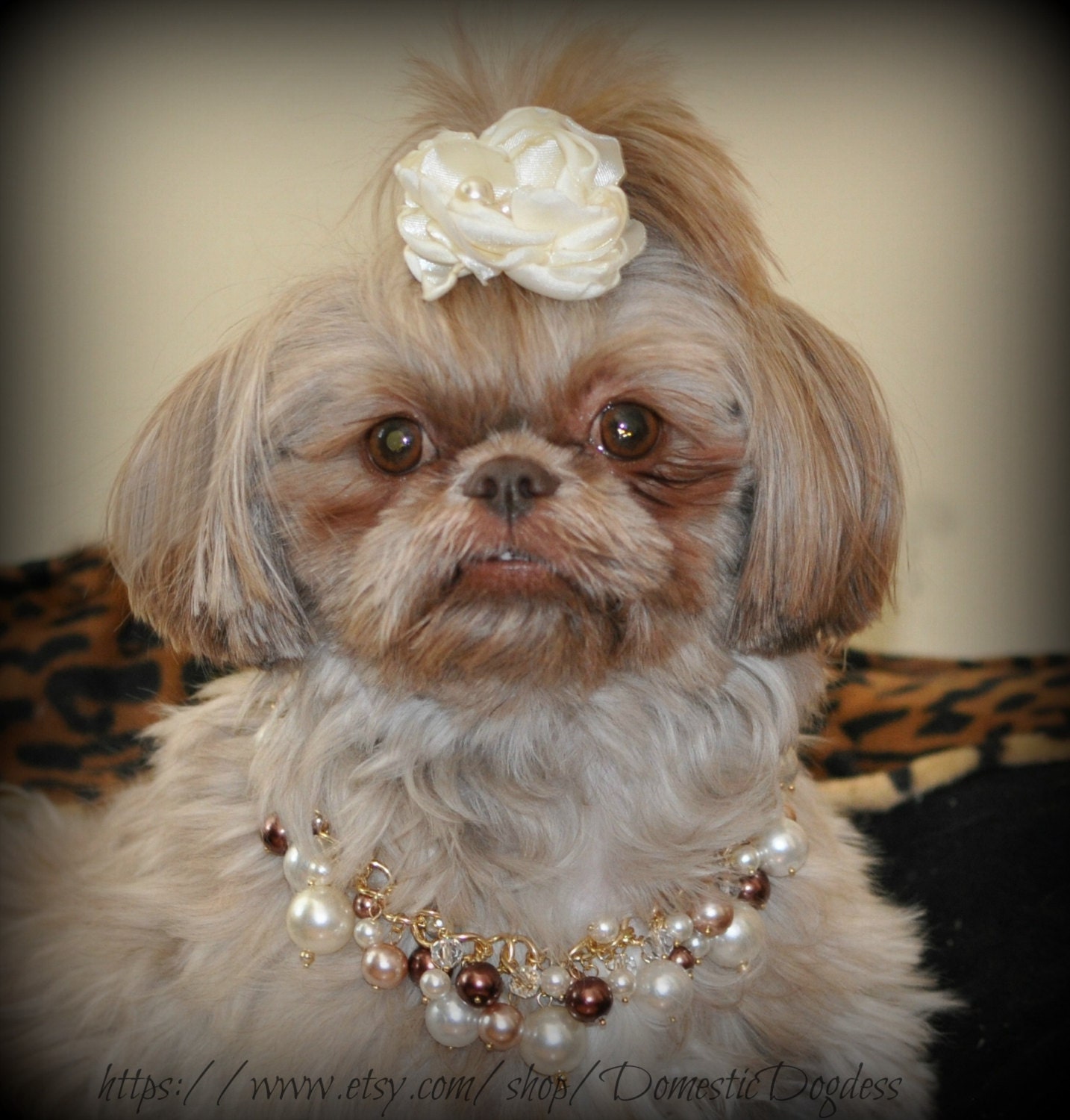 pet bling pet necklace dog bling dog necklace by GlamDogJewelry