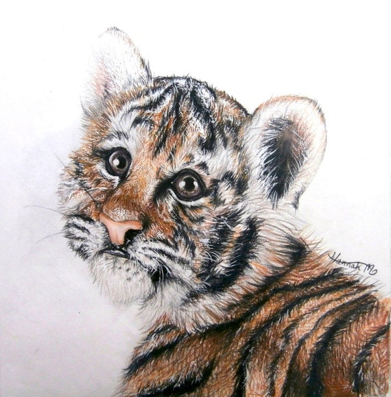 Items Similar To Cute Tiger Cub Pencil Drawing On Etsy