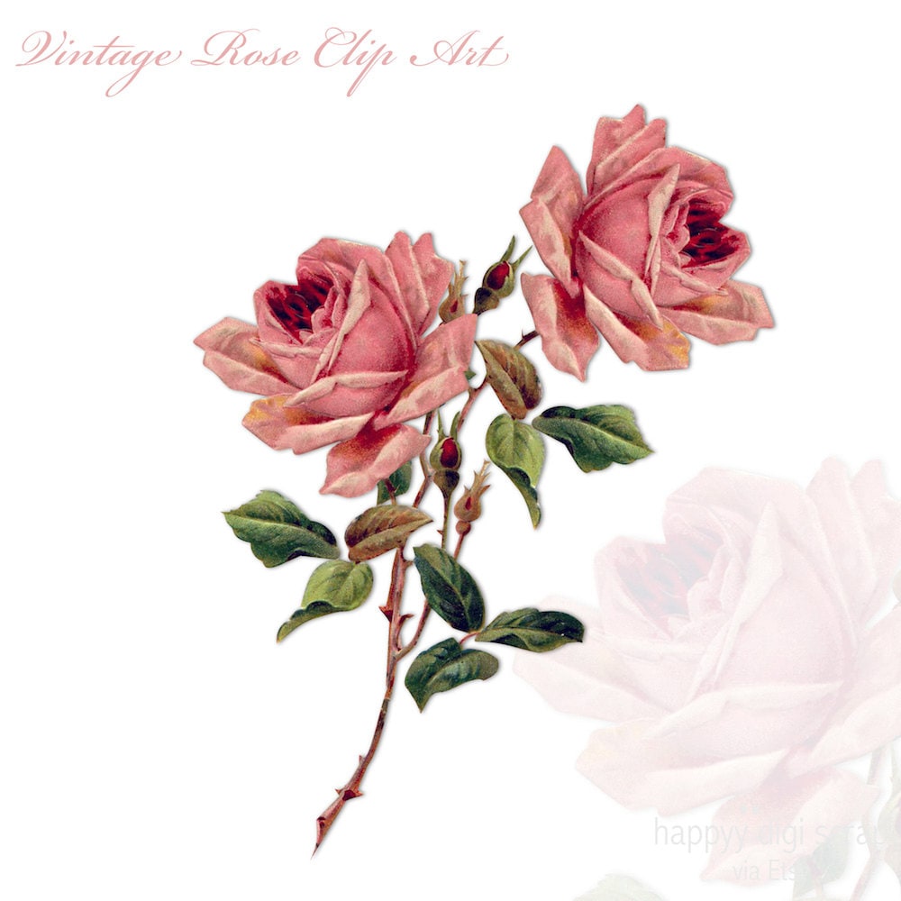clipart vintage roses - photo #49