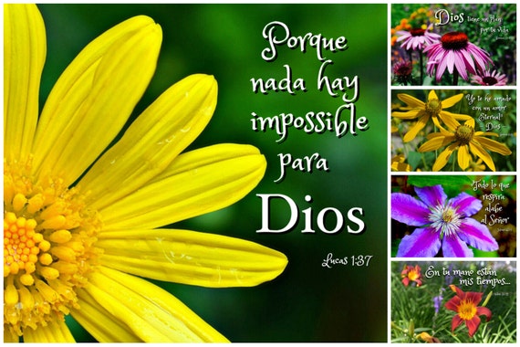 items-similar-to-spanish-bible-verse-photo-cards-espanol-set-of-5