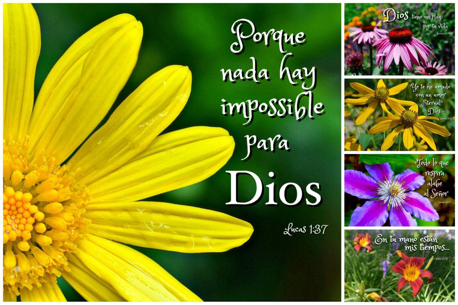 spanish-bible-verse-photo-cards-espanol-by-inhisimagephotocards