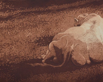 The Old Bull. Etching of a Charolais bull in a water meadow