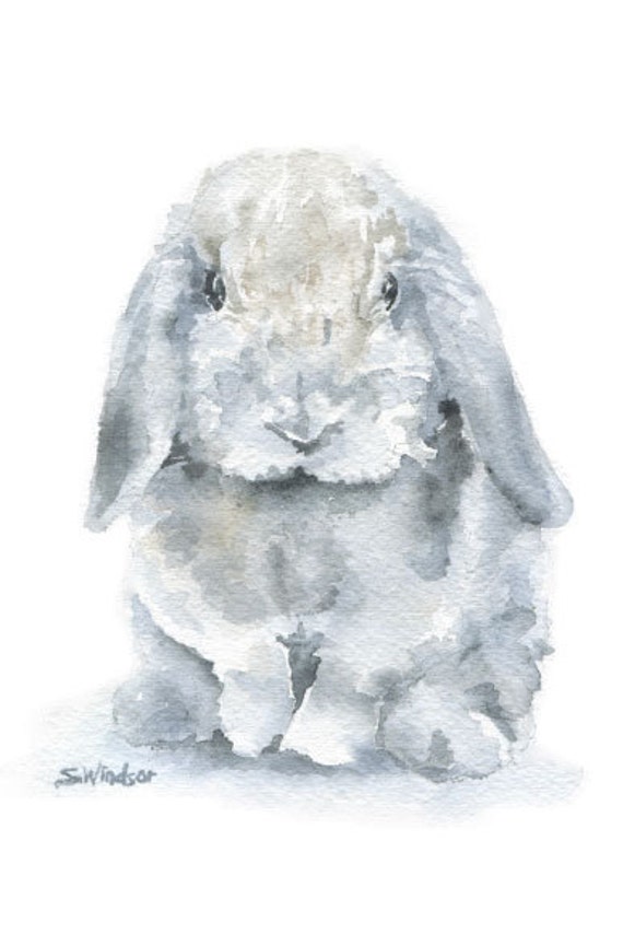 Mini lop Rabbit Watercolor Painting 4 x 6 Giclee Fine Art