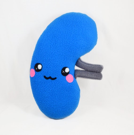 stuffed kidney