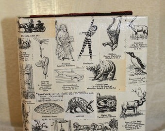 Vintage Dictionary Illustration Original Photo Album