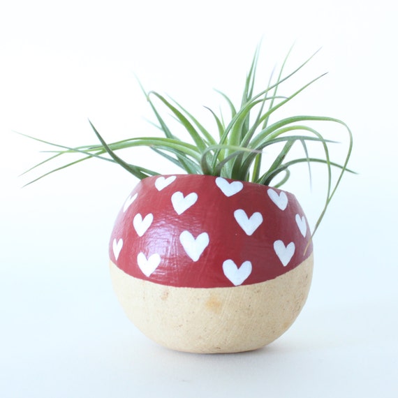 Air Plant Planter with Air Plant. Red with White Hearts. Valentine's Day Gift. Airplant Planter Pod Terrarium. Red hearts. Mother's Day Gift