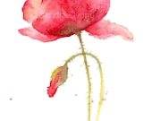 Poppy watercolor print - Red flower painting - 4x6 wall art print, matted and ready to hang
