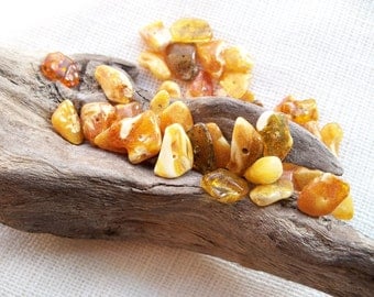 Baltic Amber Beads. Polished. Freeform. 50 pcs. Two or more colors. Natural amber. Genuine amber.
