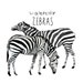 safari watercolor zebra clipart