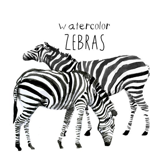 clipart pictures of zebras - photo #37