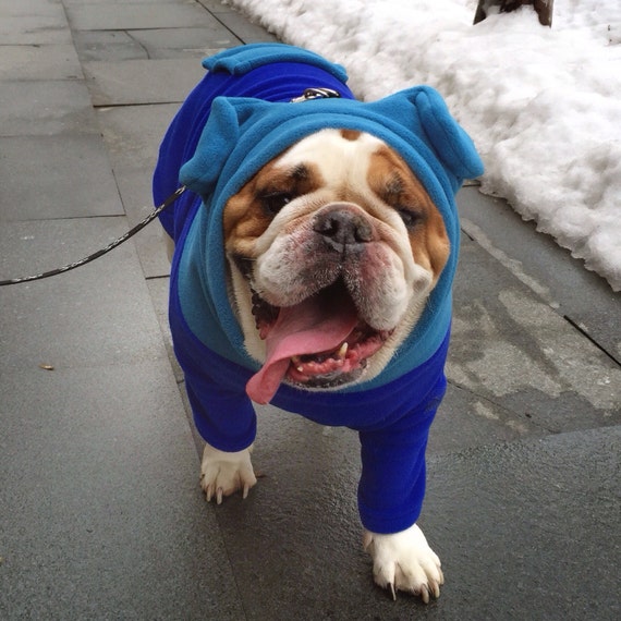 Items similar to English Bulldog ColdWeather BatHat Hoodie cozy
