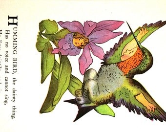 Moss - Bird Children - 1939 - RUBY Throated HUMMING BIRD - Drink Flower Honey - Professionally Matted Children's Book Illustration Art Print