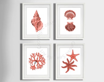 Coral Pink seashell Art Print set of 4, seaside art, Starfish art Print, Seashell art print, seaweed, Beach wall art Decor, Nautical Decor