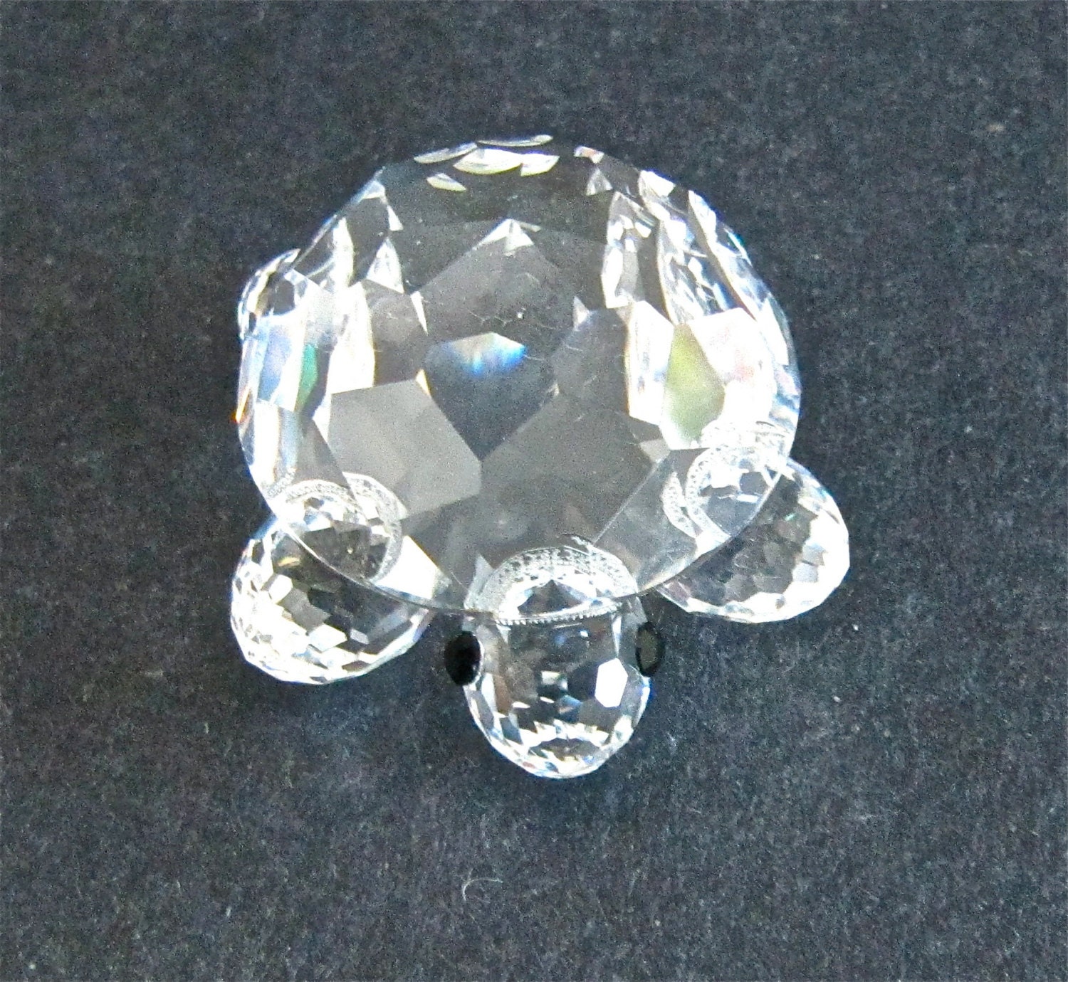 swarovski shelly the turtle