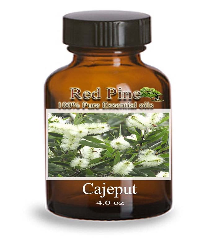 Cajeput Essential Oil Cajuput Melaleuca Cajuputi 100% Pure