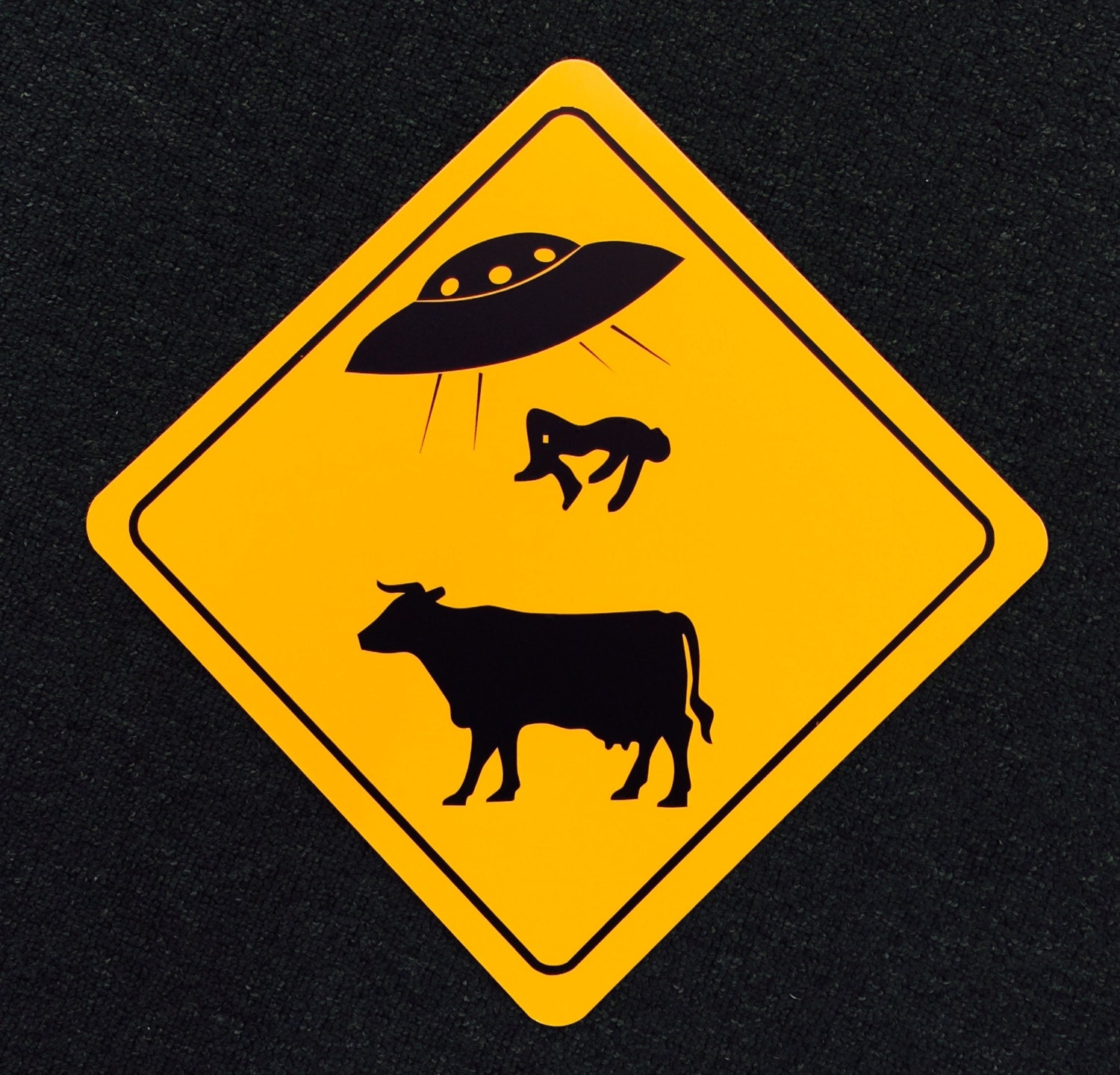 UFO Alien Abduction Funny Sign by SafariSigns on Etsy