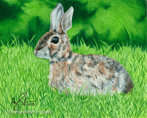 Items similar to Rabbit - Colored Pencil - Fine Art Giclee Print on Etsy