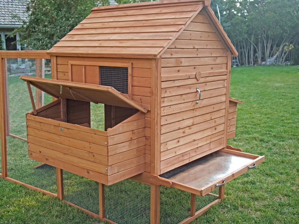 Backyard Chicken Coop Good for 10 to 15 Chickens by CoopSaloon