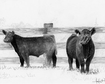 Show Cattle, "Curious Club Calves" Artwork Print