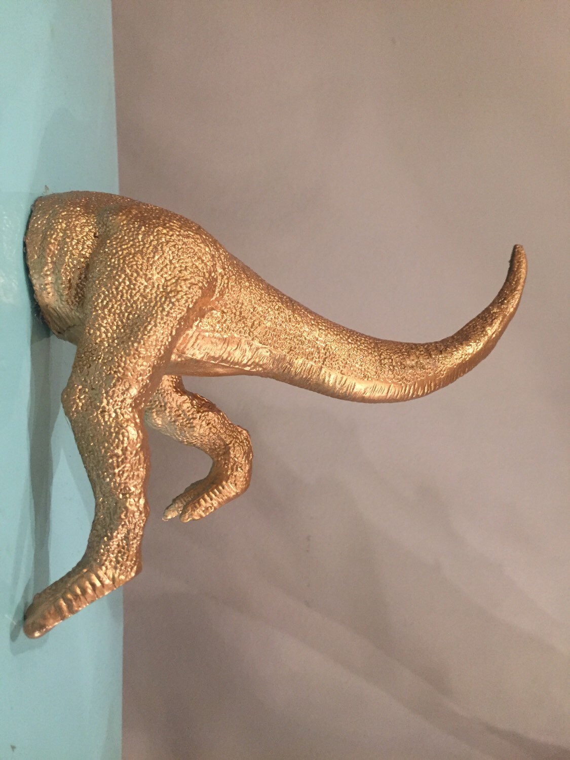 dinosaur butt fossil