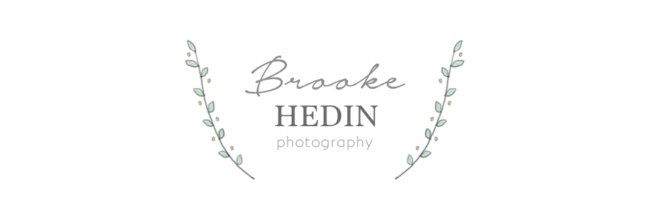 Brooke Hedin Photography