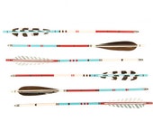 Southwest Striped Arrows
