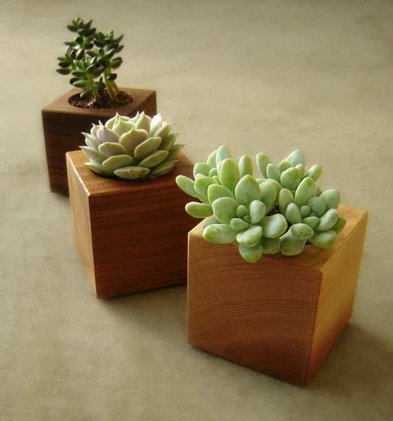 Succulent Planters, Modern Indoor Planters, Cubist Design in Recycled Wood