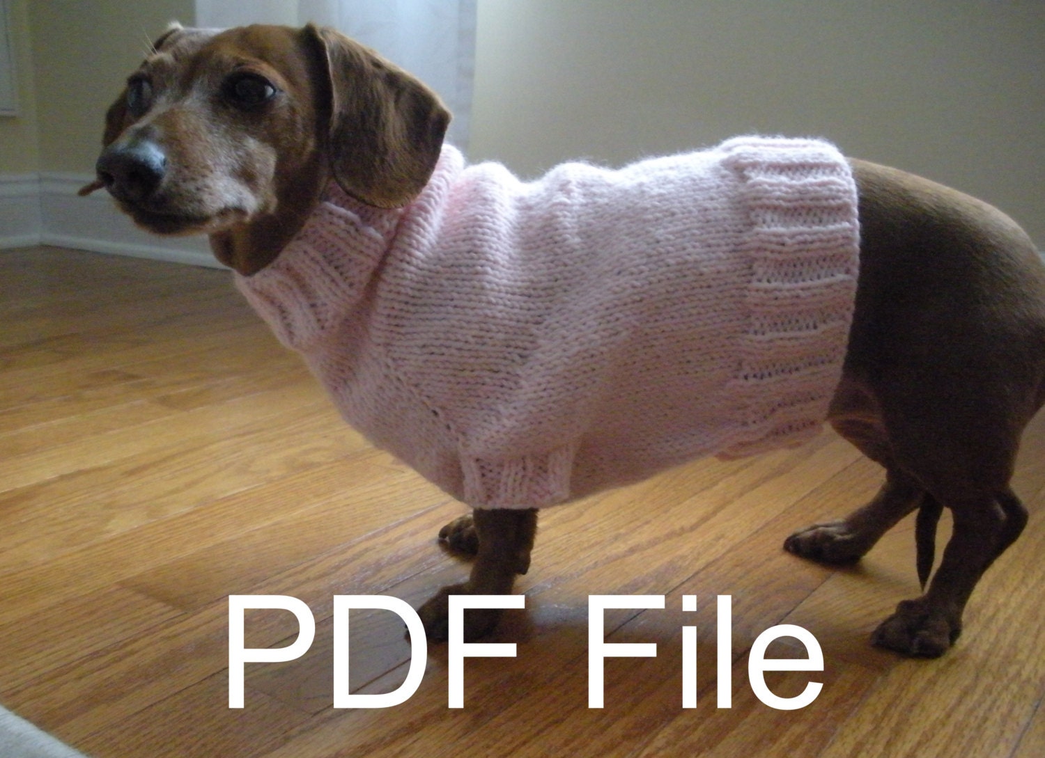 Simple Sweater Pattern For Mini Dachshund, Doxie, Dachshund, Knitted 107