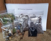 THE Kit - DIY Terrarium Kit - All you need is the Container