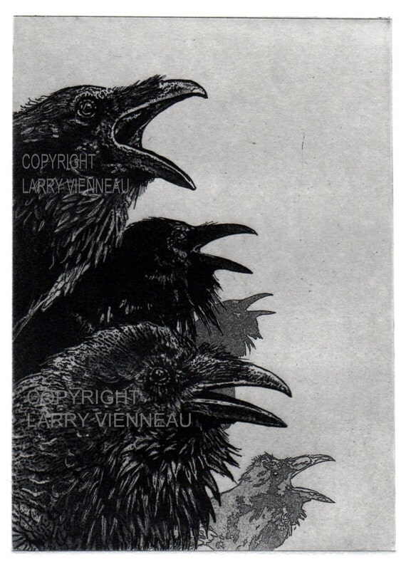 Raven artwork Raven crow Etching 5 inch x 7 inch 2013