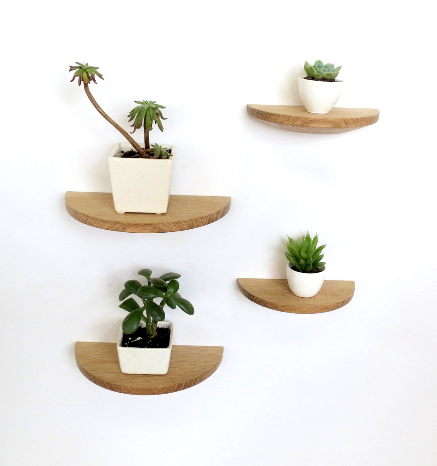 Set of four half round white oak shelves