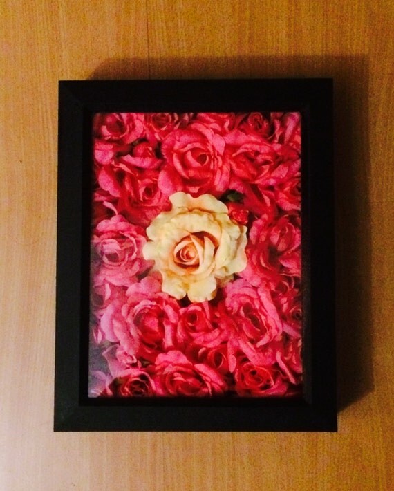 Pink rose shadow box