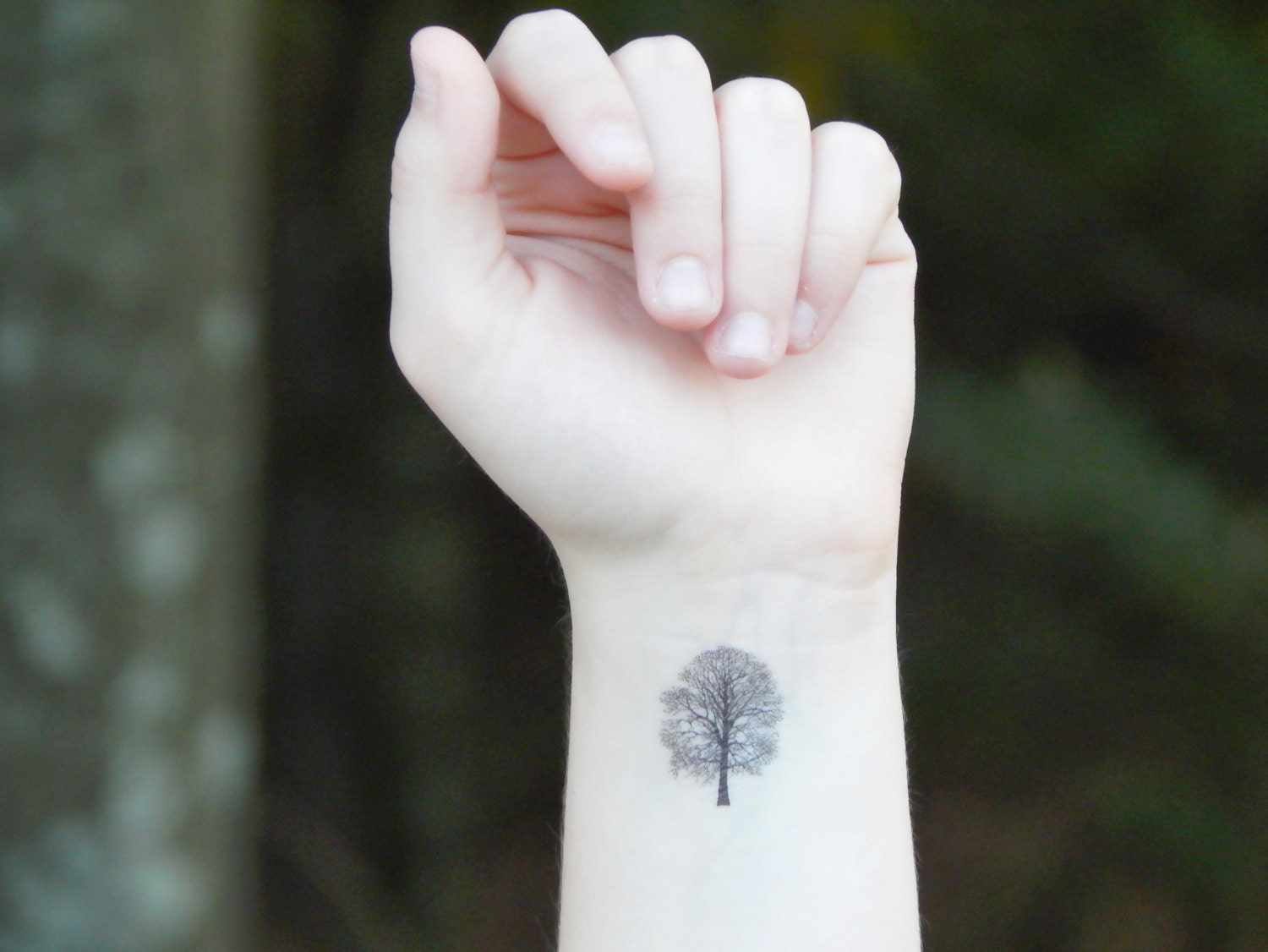 temporary tattoo tree tattoo oak tree temporary tattoo tree tattoo oak tree