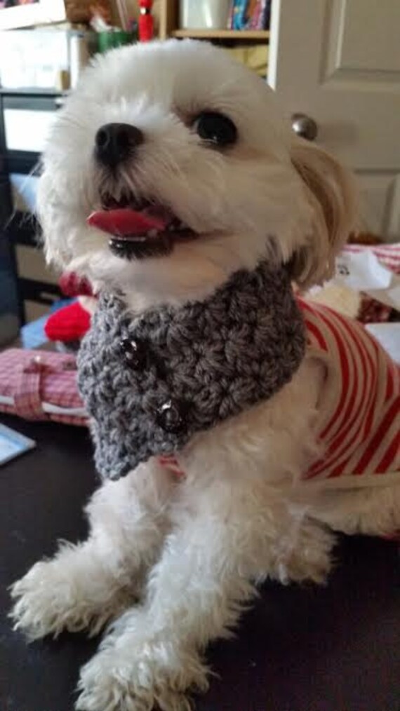 Crocheted Small Dog Puppy scarf fits most S or M dogs