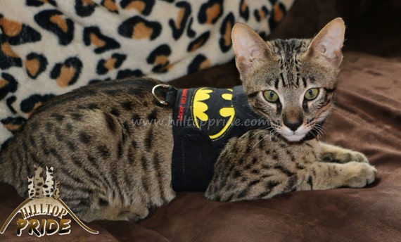 Mynwood Batman Cat Walking Vest