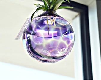 Purple Terrarium, Blown Glass Terrarium, Blown Glass Planter, Spider Plants, Glass Art