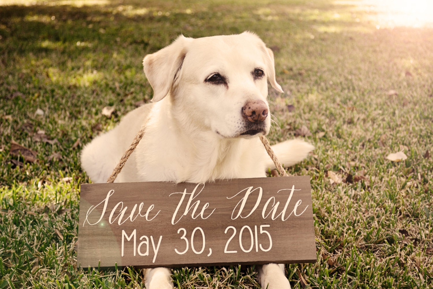 Dog Save the Date Sign Engagement Photo Prop Sign Save the