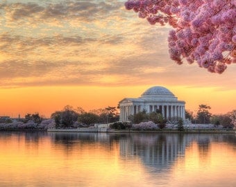 Cherry Blossom Photography - Washington DC Print - Jefferson Memorial Photo - DC Photography - Sunrise - Cherry Blossom Festival