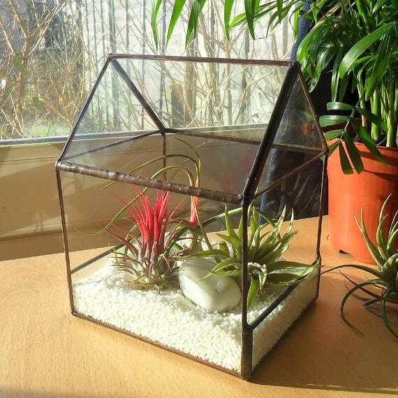 Glass Terrarium Miniature Greenhouse Air by RavensStainedGlass