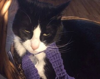Scarves for kitty - order any color