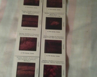 2 x5 mint unopened super 35's travel slides. Hershey Garden's & arboretum.