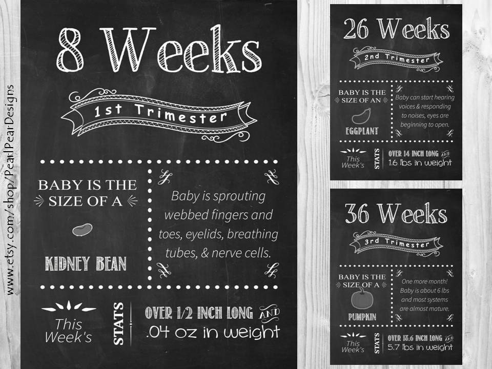 ALL 17 Printable File Pregnancy Chalkboard Weeks From 1st