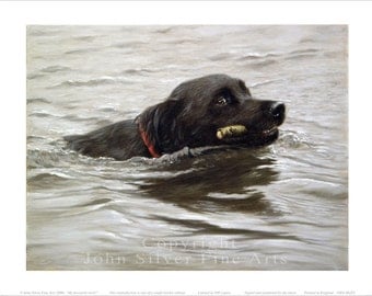 Black Labrador retriever Limited Edition Print. Personally signed and numbered by Award Winning Artist JOHN SILVER. jsfa021