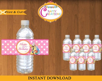 Disney Princesses Water Bottle Wrappers Labels Birthday Party