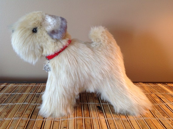 plush wheaten terrier