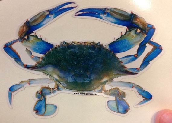 Blue Crab Vinyl Window Decal Sticker 5